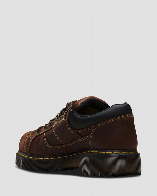 Dr Martens Dámské Pracovní Obuv Gunby Steel Toe Hnědé, CZ-751968